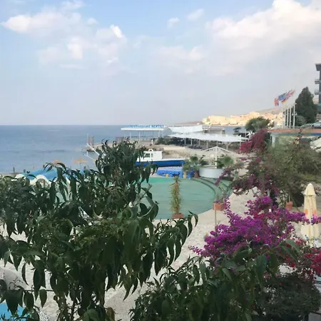 Bougainville Bay - 11 * Sarande