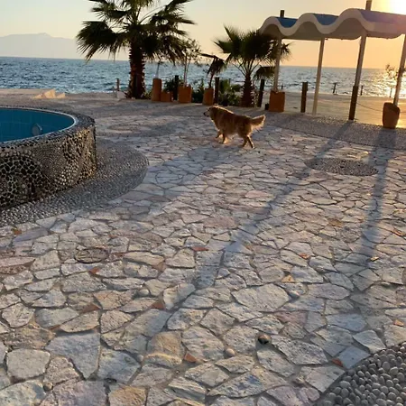 Villa Bougainville Bay - 11