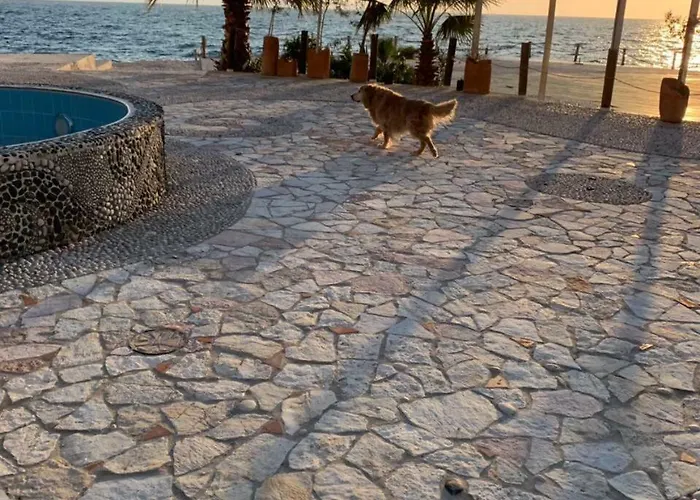 Villa Bougainville Bay - 11